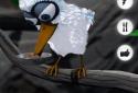 Talking Larry the Bird screenshot 3