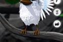Talking Larry the Bird screenshot 5