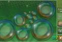 Bubble Filler screenshot 2