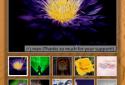 SPB MobileShell screenshot 9