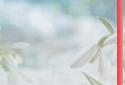 ilovespring by intheme c.studio screenshot 3