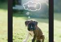 Aviary Photo Editor screenshot 18