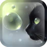 Curious Cat