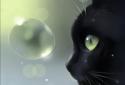 Curious Cat screenshot 1