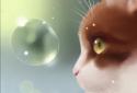 Curious Cat screenshot 2