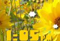 Weather Flow Live Wallpaper screenshot 16
