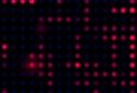 Radiant Motion screenshot 3