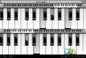 Musical Pro screenshot 6