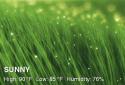 Weather HD screenshot 2