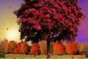 Autumn Trees Live Wallpaper screenshot 5