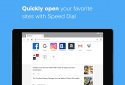 Браузер Opera screenshot 10