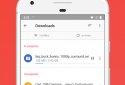 Браузер Opera screenshot 8