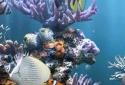 The real aquarium  LWP screenshot 1