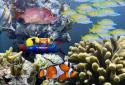 The real aquarium  LWP screenshot 11