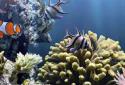 The real aquarium  LWP screenshot 6