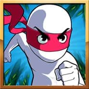 Ninja Joe
