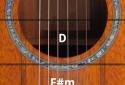 RockOut Acoustic Pro Guitar screenshot 1