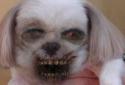ZombieBooth screenshot 5