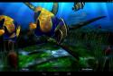 My 3D Fish screenshot 18