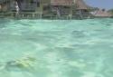 Lagoon Waves HD screenshot 14