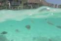 Lagoon Waves HD screenshot 16