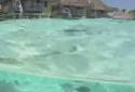Lagoon Waves HD screenshot 5