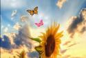 Sunflower Field Live Wallpaper screenshot 1