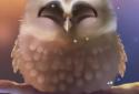 Little Owl screenshot 4