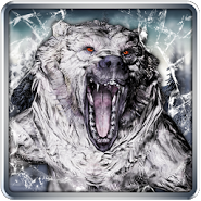 Pocket Bear HD