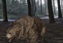 Pocket Bear HD screenshot 12