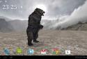 Pocket Bear HD screenshot 14