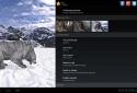 Pocket Bear HD screenshot 17