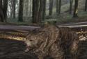 Pocket Bear HD screenshot 7