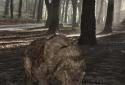 Pocket Bear HD screenshot 8