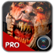 Ghost in Cam Pro
