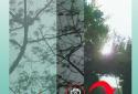 Ninja Camera screenshot 4