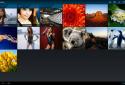 Qloud Media screenshot 11
