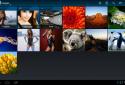 Qloud Media screenshot 15