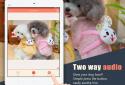 AtHome Camera – Home Security screenshot 10