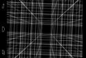 Limitless Grid Live Wallpaper screenshot 5