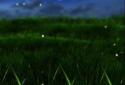 Grass LWP screenshot 3