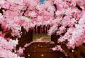 Sakura's Bridge Live Wallpaper screenshot 2