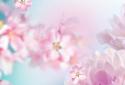 Falling Flowers Live Wallpaper screenshot 1