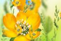 Spring Flowers Live Wallpaper screenshot 3