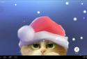 Tummy The Kitten screenshot 5