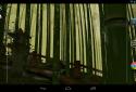 Бамбуковая роща 3D screenshot 3