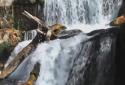 Beautiful Waterfall Live HD screenshot 5