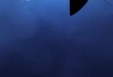 Stalker Cat Live Wallpaper Lt screenshot 3
