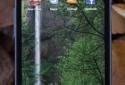 Forest Alive Video Wallpaper + (Видео-обои Лес +) screenshot 4