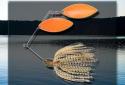 iFishing screenshot 6
